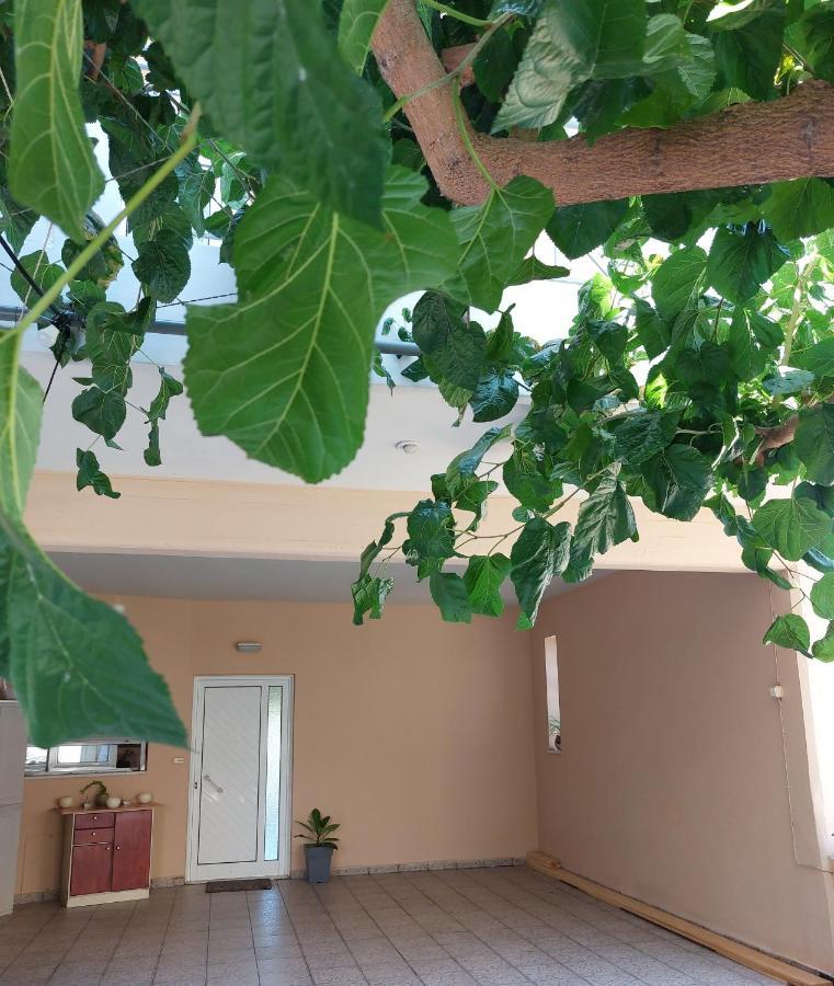 Argy Cozy Apartment Hanya Dış mekan fotoğraf